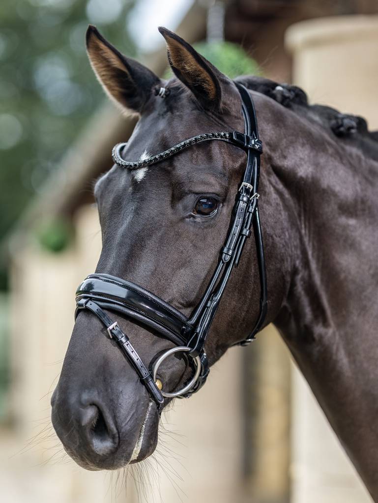 LeMieux Kudos Dressage Bridle | Country Ways