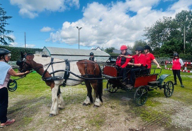 An Afternoon with Maryculter Carriage Driving for the Disabled - Country Ways