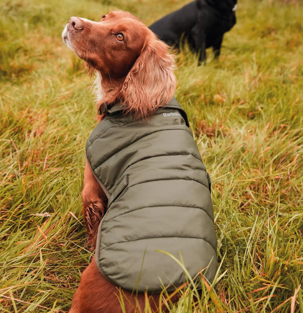 Barking Mad About Barbour Dog - Country Ways