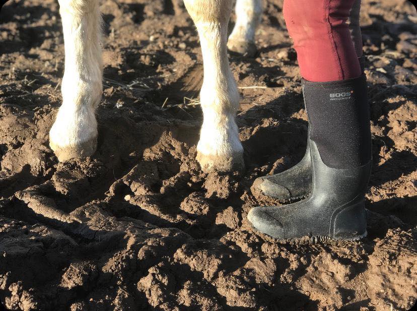 Bonkers about BOGS: The very wearable welly - Country Ways