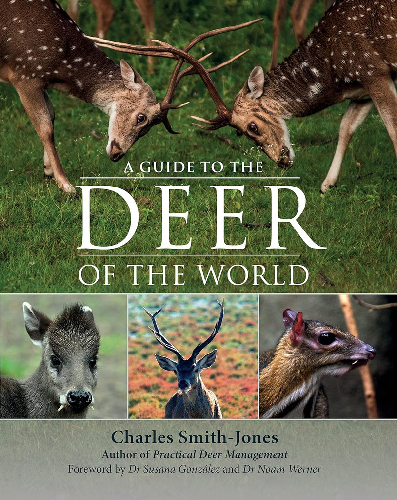 A Guide To The World Of A Deer By Charles Smith - Jones - Country Ways