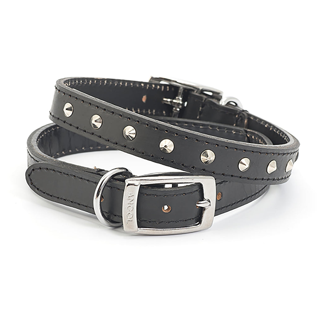 Ancol Heritage Leather Stud Collar - Country Ways