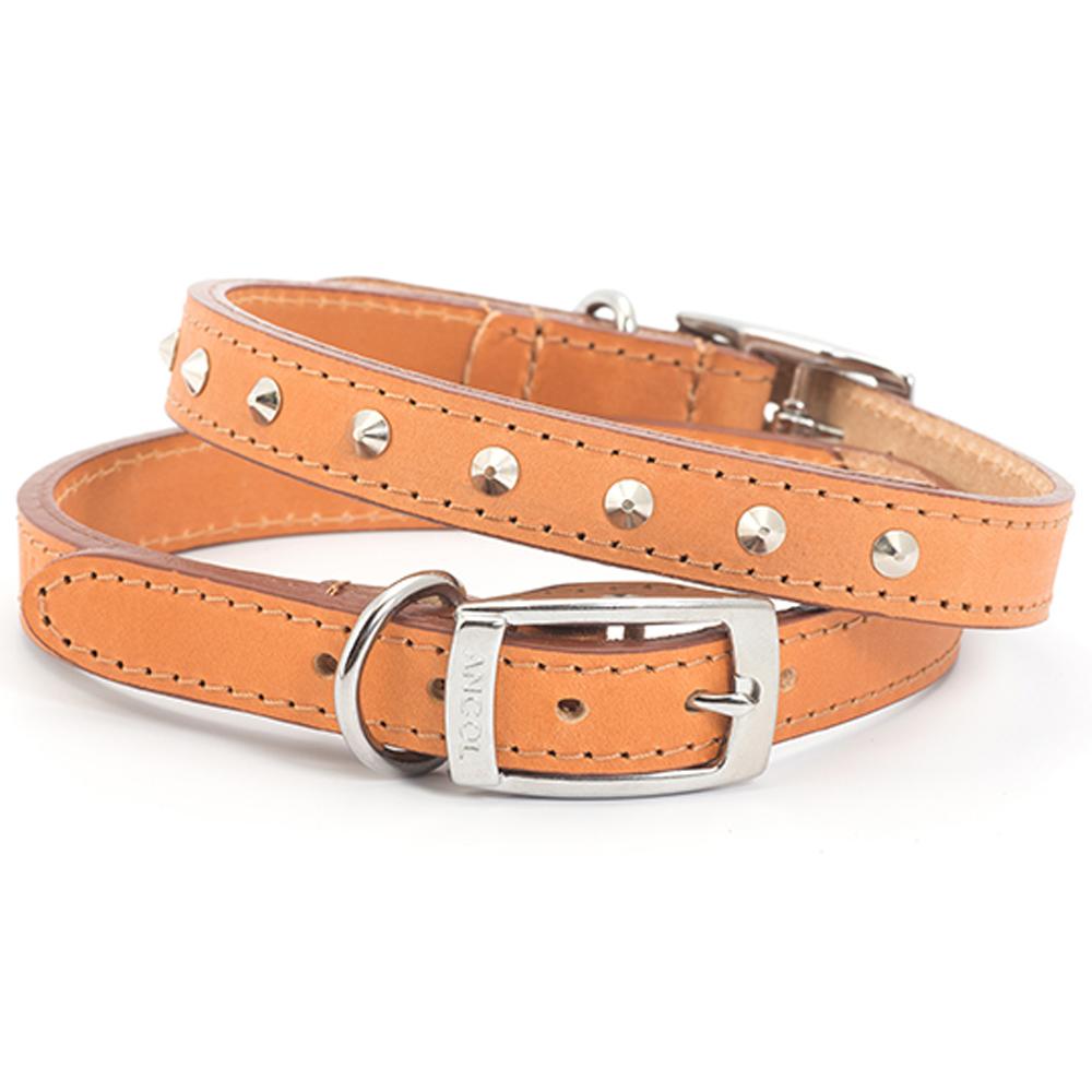 Ancol Heritage Leather Stud Collar - Country Ways