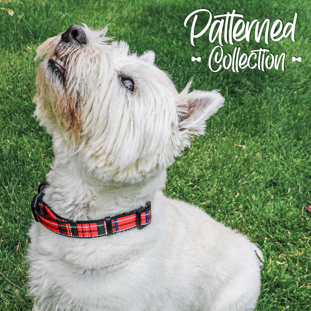 Ancol Patterned Tartan Collar - Country Ways