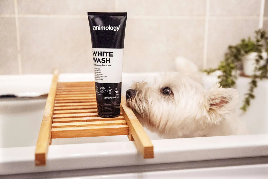 Animology White Wash Shampoo - Country Ways