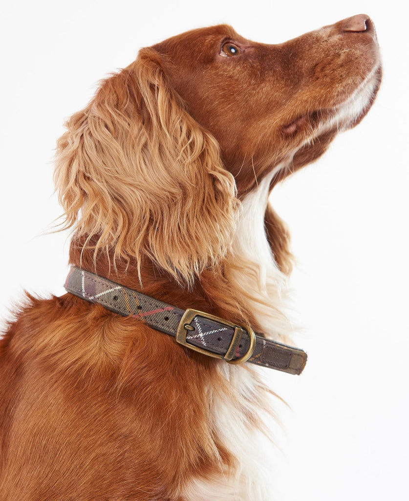 Barbour Classic Tartan Leather Dog Collar - Country Ways