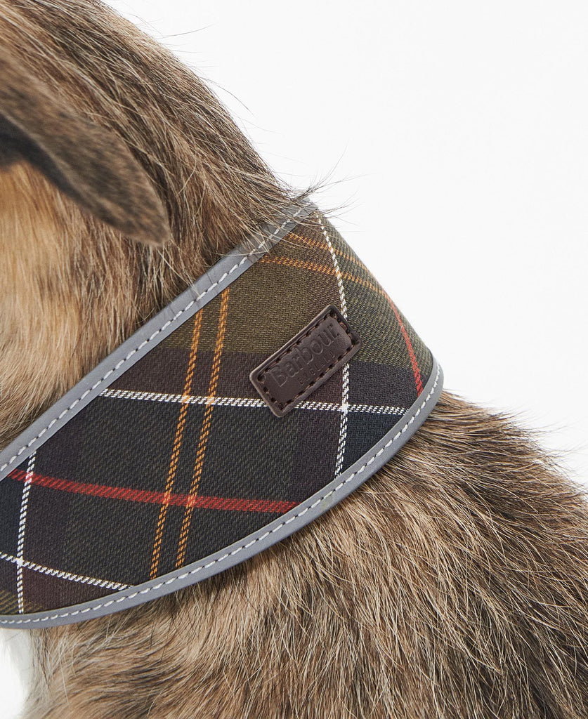 Barbour Lurcher Collar - Country Ways