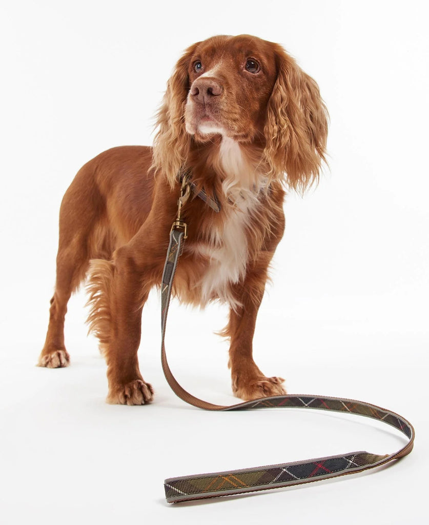 Barbour Reflective Dog Lead - Country Ways