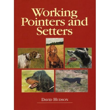 BTM326 Working Pointers & Setters D Hudson - Country Ways