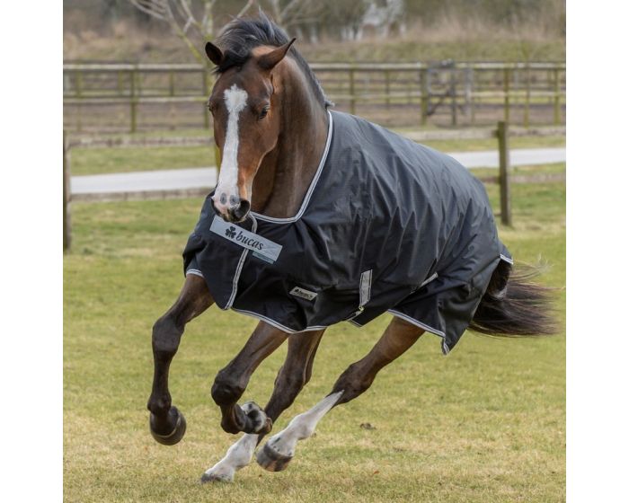 Bucas Anniversary Light Stay - Dry Turnout Rug - Country Ways