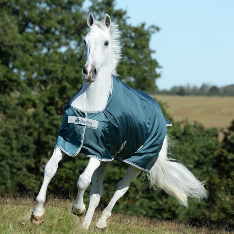 Bucas Atlantic 200g Turnout Rug - Country Ways