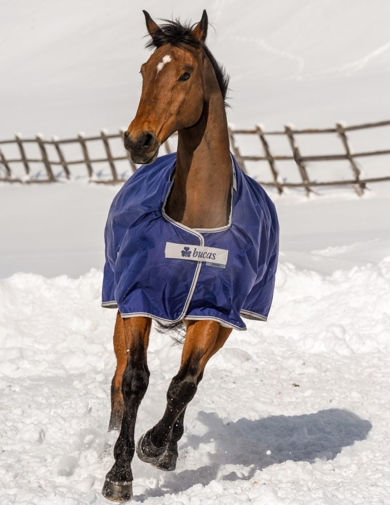 Bucas Atlantic 200g Turnout Rug - Country Ways