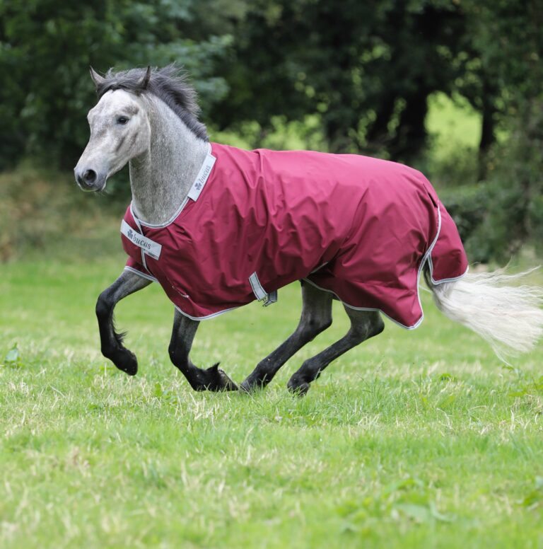 Bucas Atlantic Exclusive 0g Light Turnout Rug - Country Ways