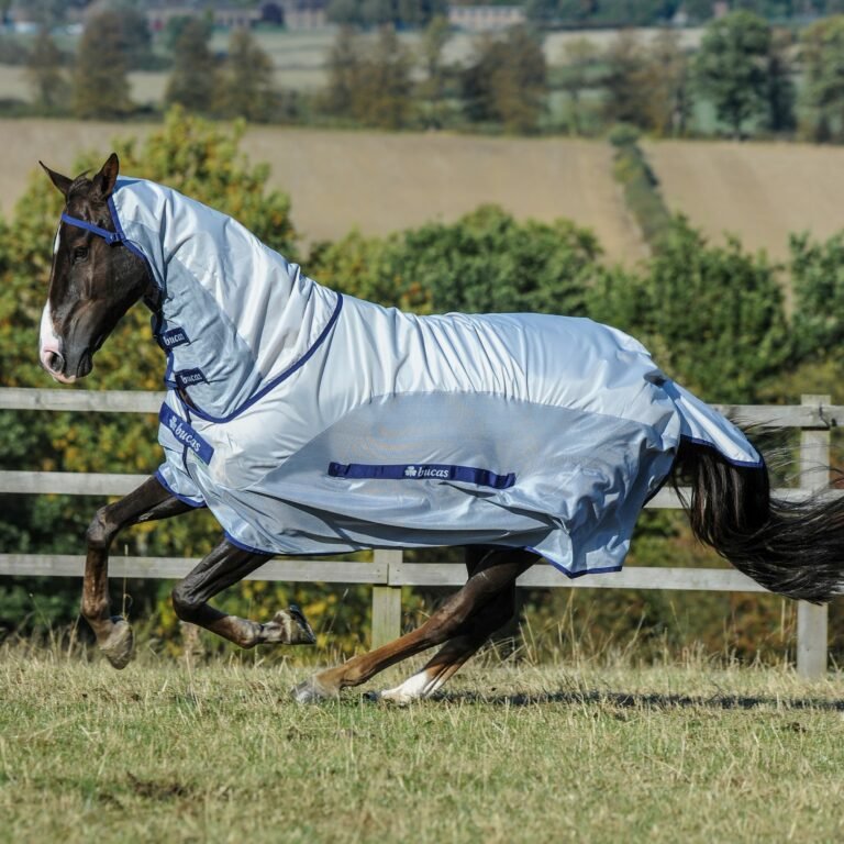 Bucas Buzz Off Rain Sheet + Fly Combo Rug with Detachable Neck - Country Ways