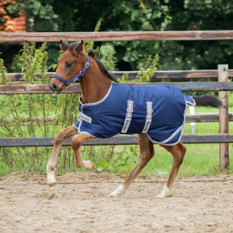 Bucas Foal Turnout - Country Ways