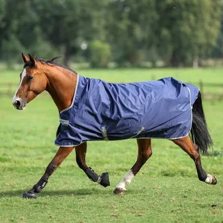 Bucas Freedom 150g High Neck Turnout Rug - Country Ways