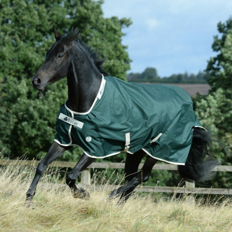 Bucas Greenline 100g Turnout Rug - Country Ways