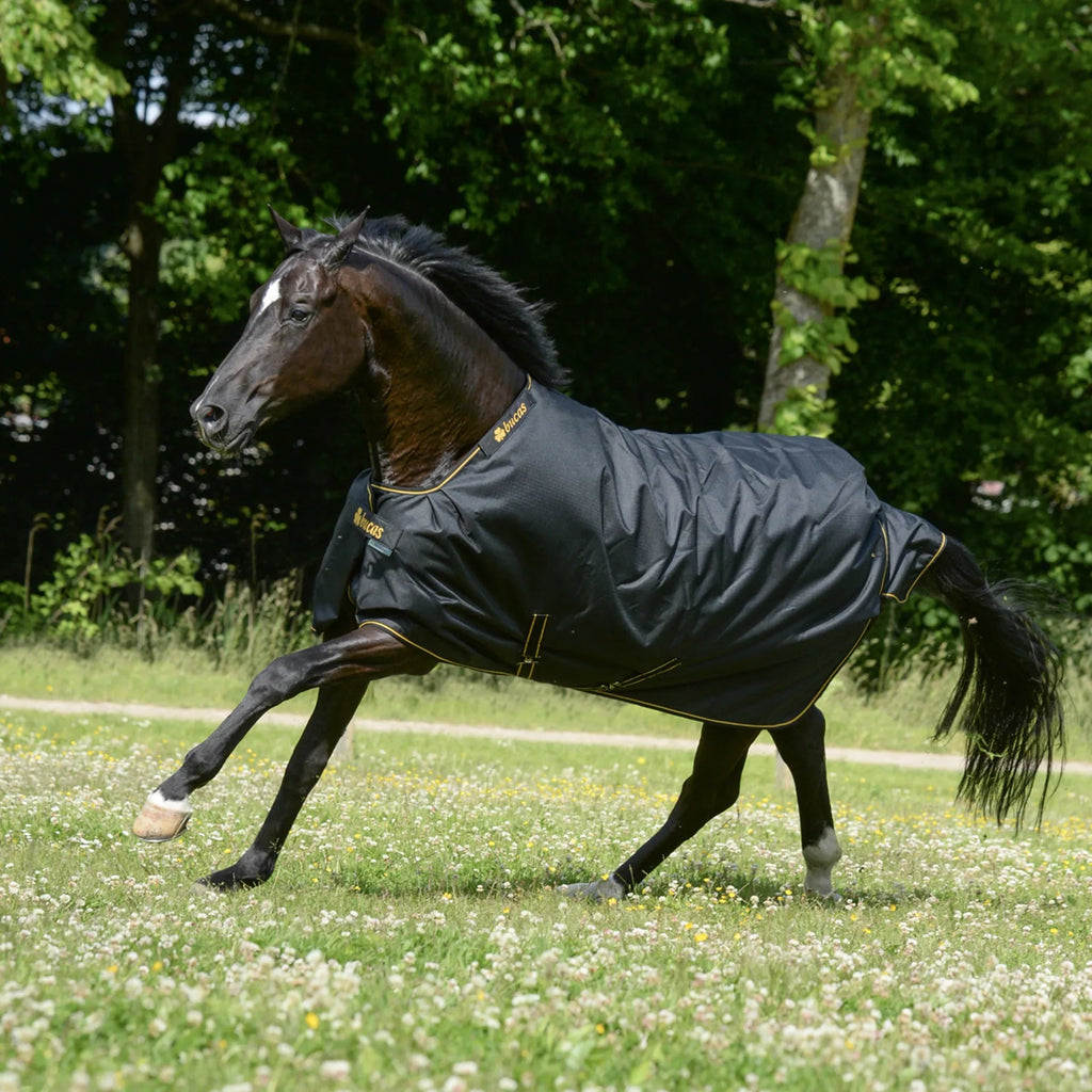 Bucas Irish Turnout 50g 'Big Neck' Turnout Rug - Country Ways