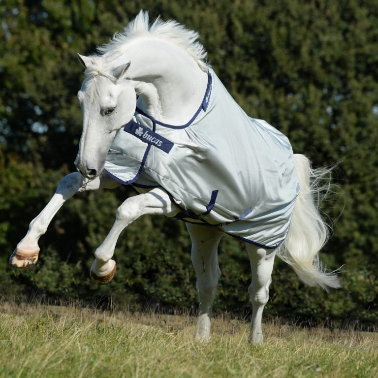 Bucas Power Lightweight Turnout Rug - Country Ways