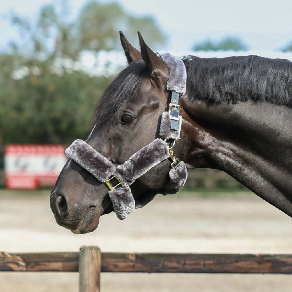 Bucas Show - Line Full Fur Halter - Country Ways