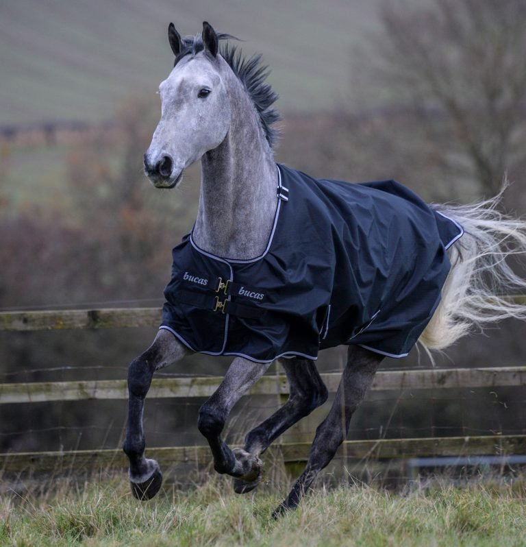 Bucas Trot 50g Turnout Rug - Country Ways