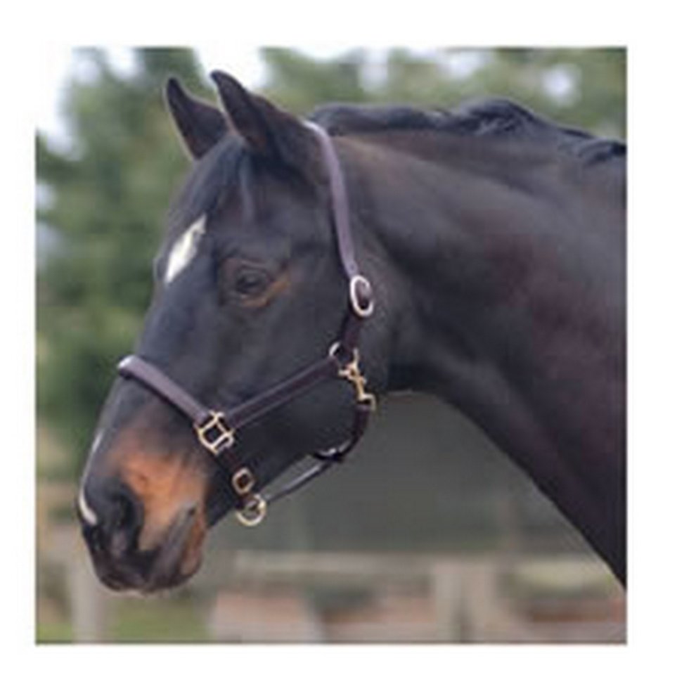 C/C Leather Foal Headcollar Brown - Country Ways