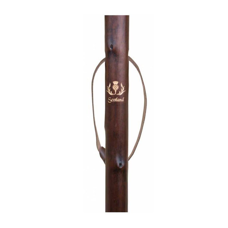 Classic Canes Chestnut Hiking Staff - Scotland Thistle - Country Ways