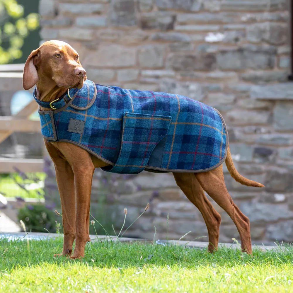 Digby & Fox Tweed Dog Coat - Country Ways