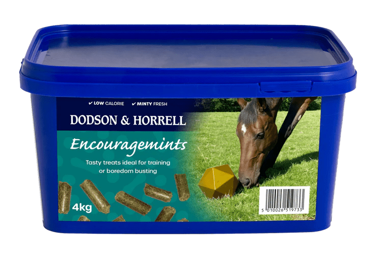 Dodson & Horrell Encouragemints 4kg - Country Ways