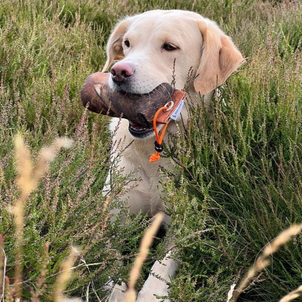 Dog & Field Grouse 1/2lb Dummy - Country Ways