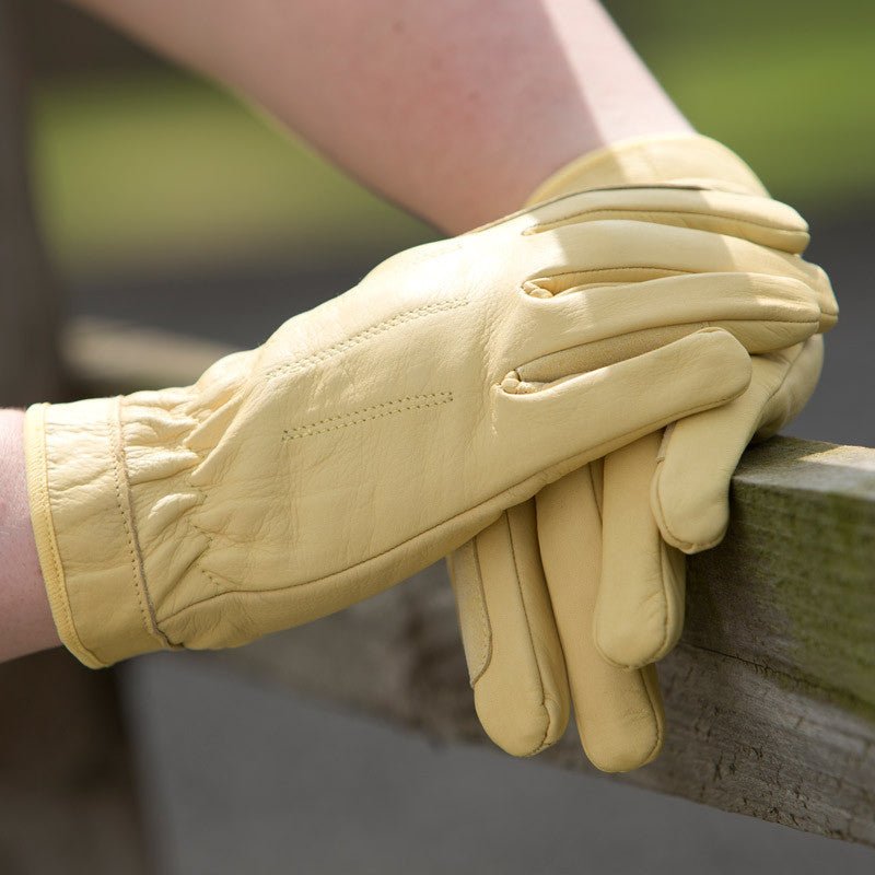 Equetech Leather Show Gloves - Country Ways