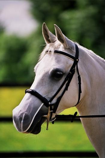 Equilibrium Net Relief Muzzle Net White Pony - Country Ways