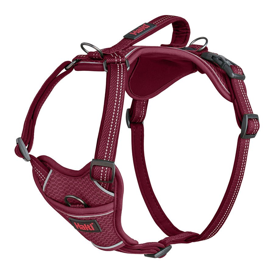 Halti Anatomy Dog Harness Magenta - Country Ways