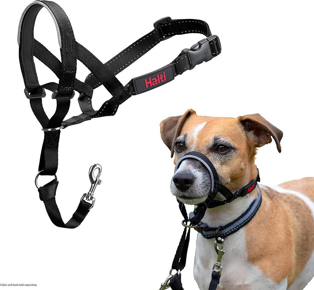 Halti Dog Headcollar - Country Ways