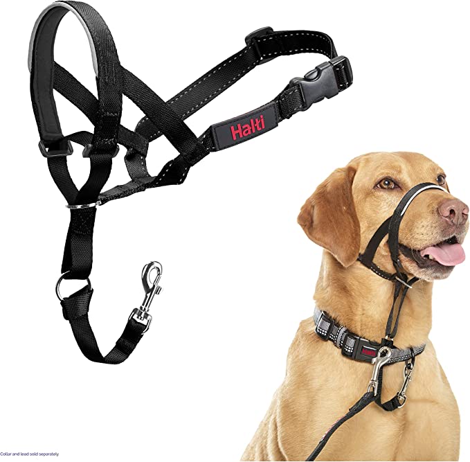 Halti Dog Headcollar - Country Ways