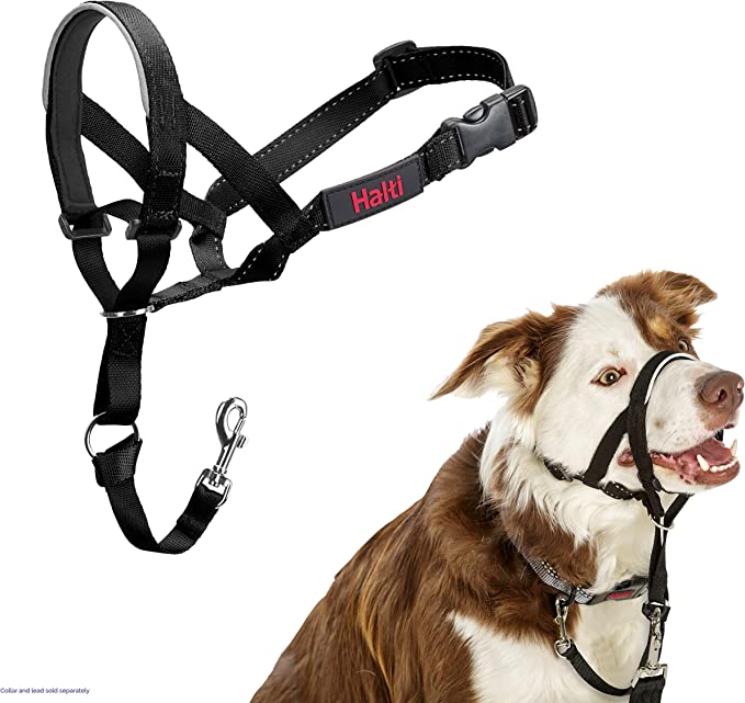 Halti Dog Headcollar - Country Ways