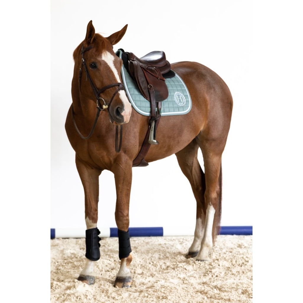 Harcour Siriel GP/Jump Saddle Pad - Country Ways