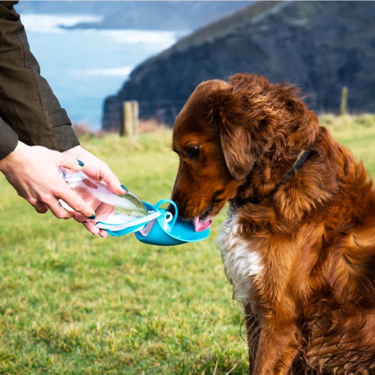 Henry Wag Water Bottle With Leaf Bowl - Country Ways