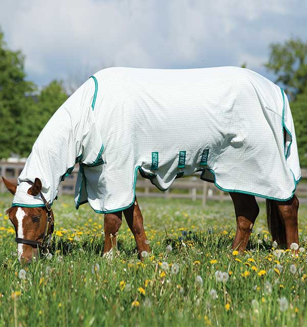 Horseware Amigo Aussie Allrounder White/Green - Country Ways