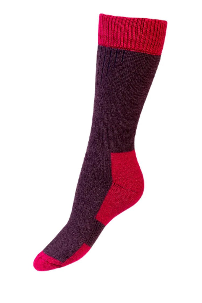 House Of Cheviot Lady Glen Merino/Wool Blend Socks - Country Ways