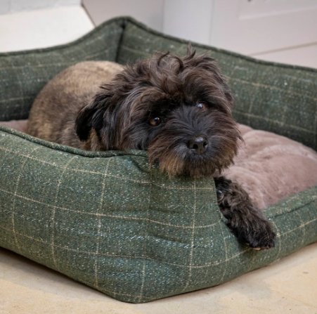 House of Paws Moss Tweed Rectangle Bed - Country Ways