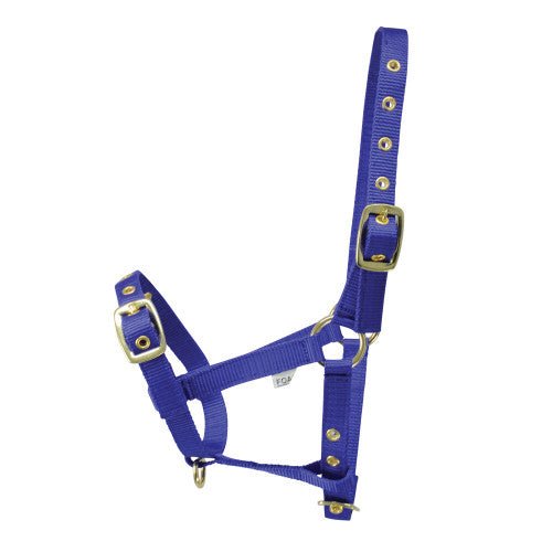 HY Foal Headcollar - Country Ways