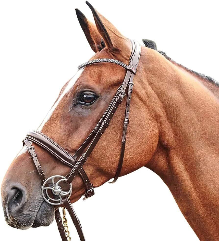 John Whitaker Barton Bling Flash Bridle - Country Ways