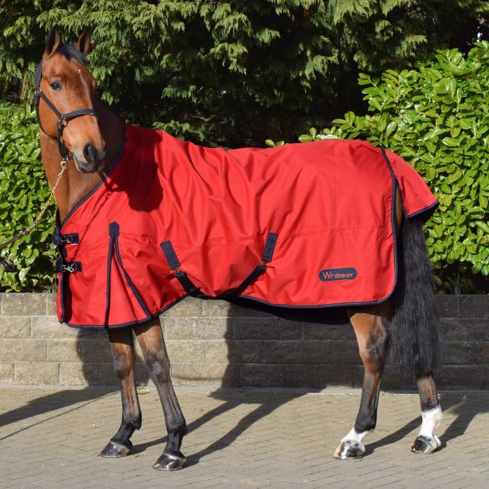 John Whitaker Rastrick 0g Lightweight Turnout Rug - Country Ways