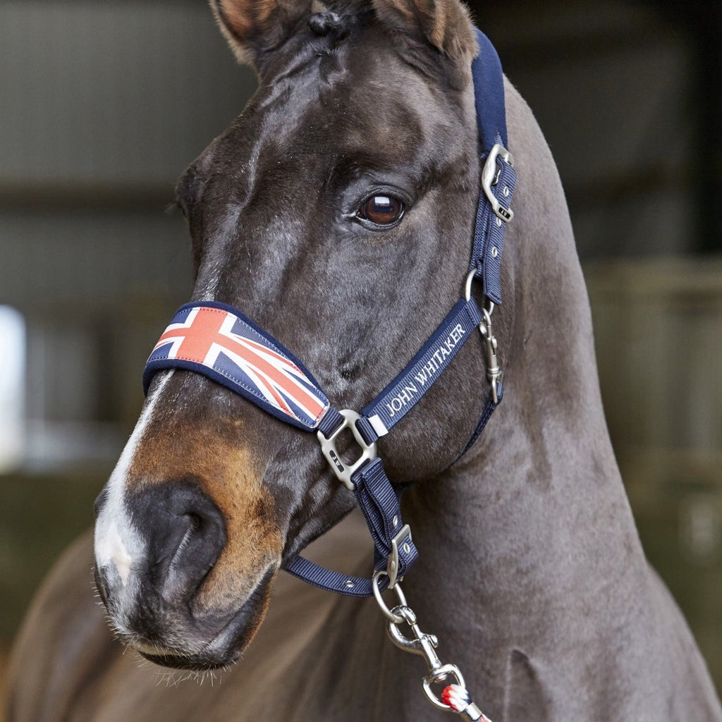 John Whitaker Union Jack Headcollar - Country Ways