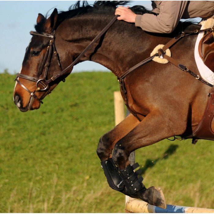 John Whitaker Valencia 5 Point Breastplate - Country Ways