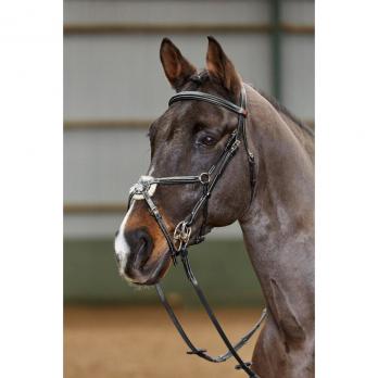 John Whitaker Valencia Super Deluxe Mexican Bridle - Country Ways