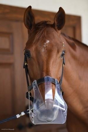 KM Elite Flexible Filly Thinline Grazing Muzzle - Country Ways