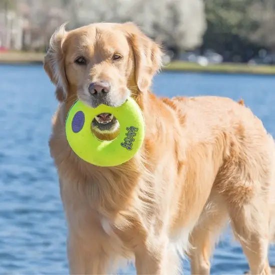 KONG AirDog Squeaker Donut - Country Ways