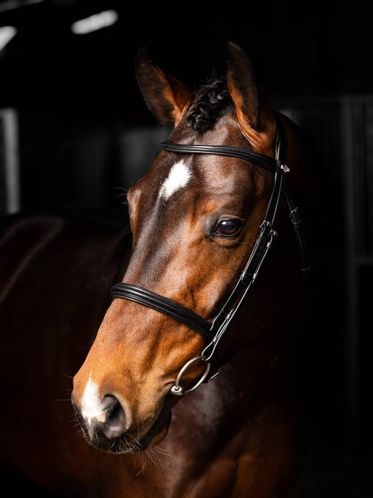 LeMieux Arika Cavesson Bridle - Country Ways